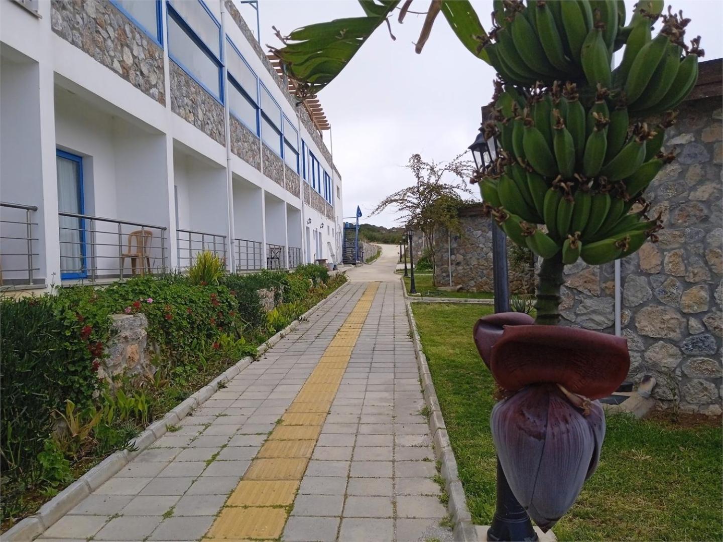 Ardic Agaci Holiday Village Famaguszta Kültér fotó