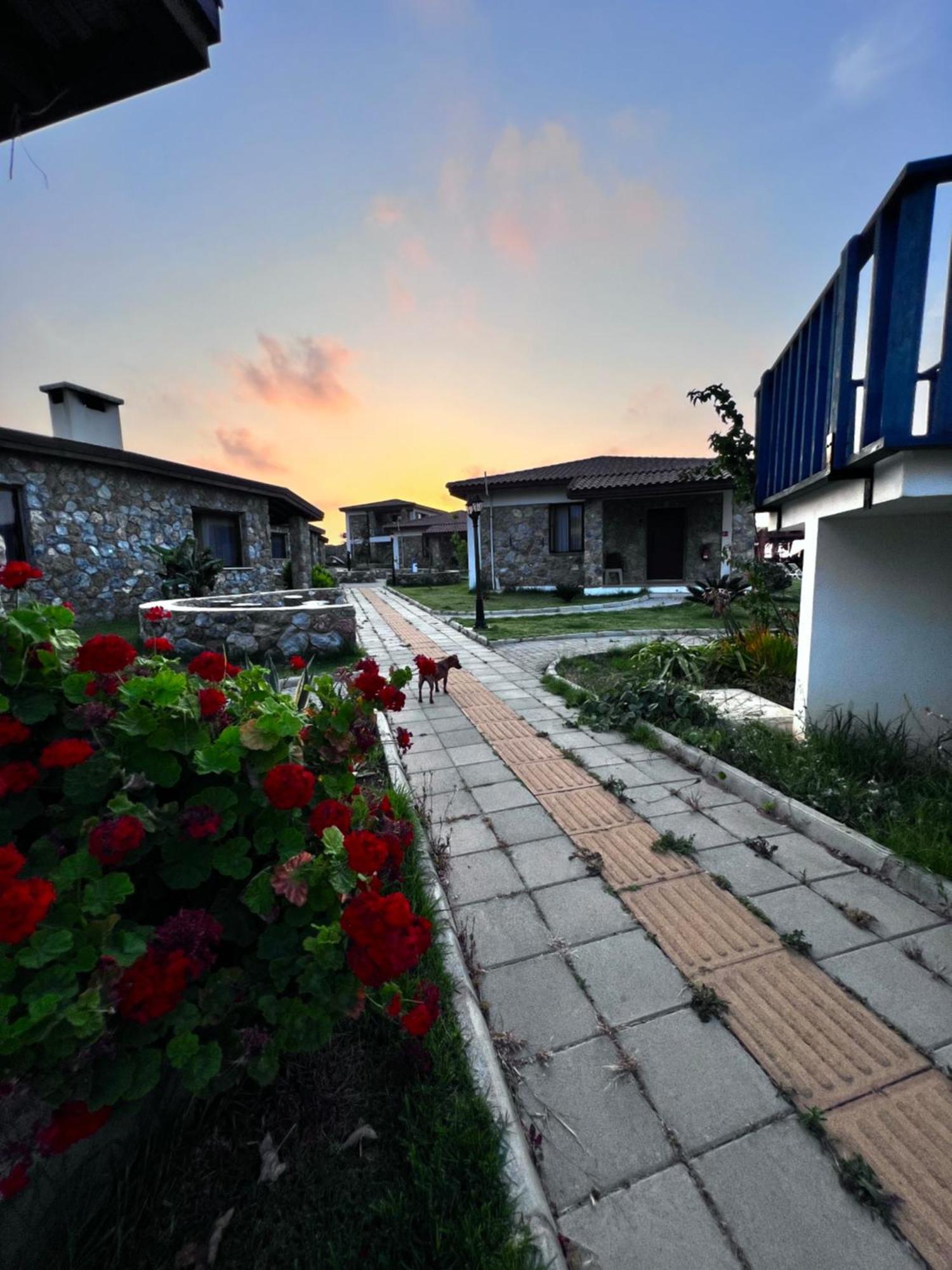 Ardic Agaci Holiday Village Famaguszta Kültér fotó