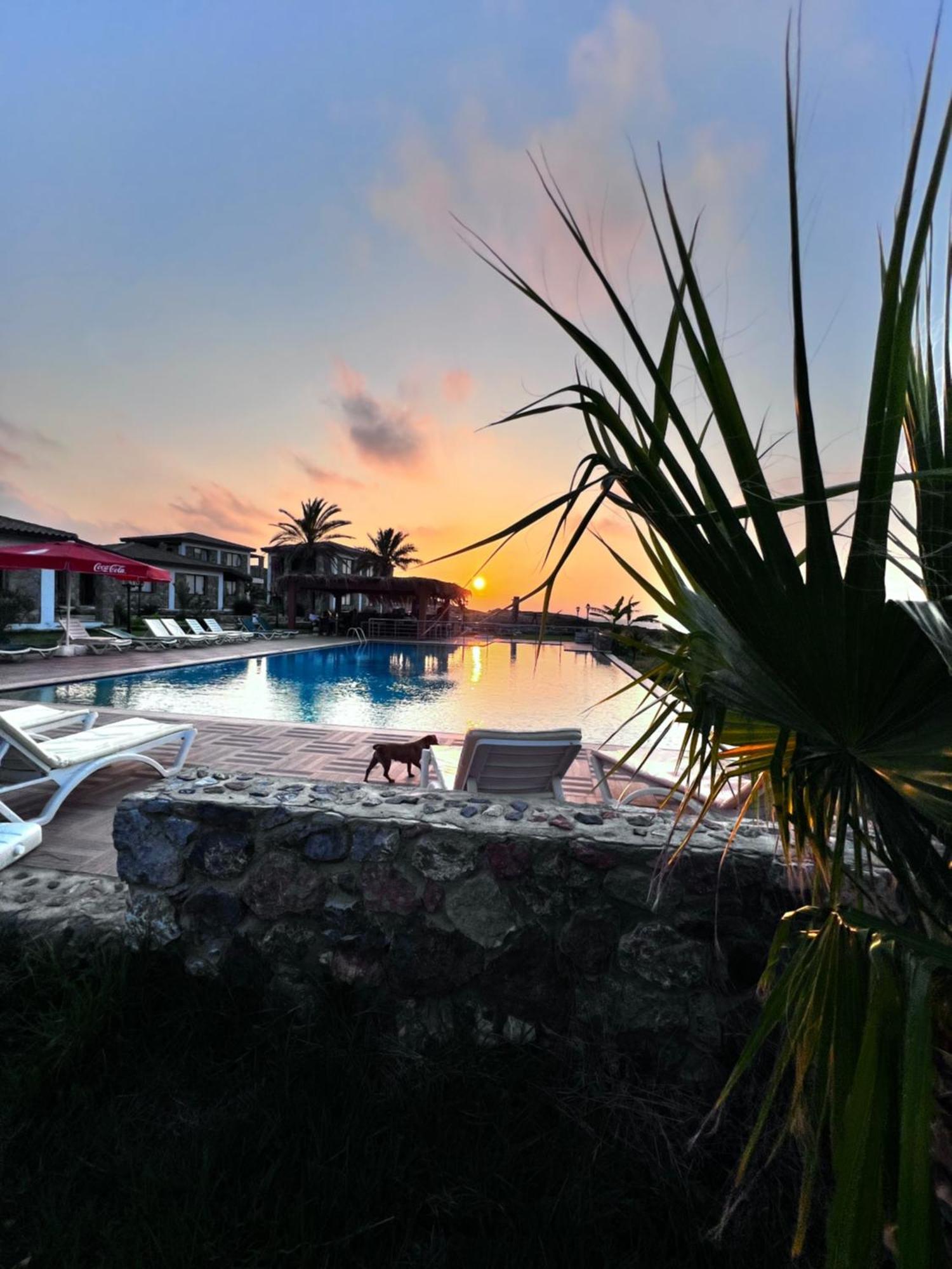 Ardic Agaci Holiday Village Famaguszta Kültér fotó